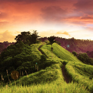 La Vía de la Maestría  Joyas de Cristo, prácticas de vida